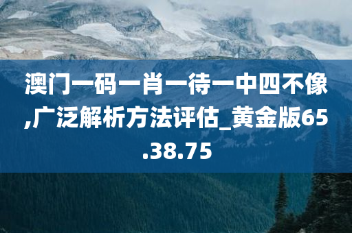 澳门一码一肖一待一中四不像,广泛解析方法评估_黄金版65.38.75