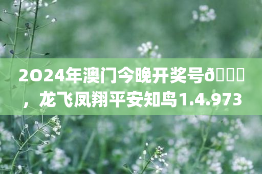 2O24年澳门今晚开奖号🐎，龙飞凤翔平安知鸟1.4.973