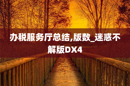 办税服务厅总结,版数_迷惑不解版DX4