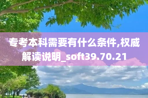 专考本科需要有什么条件,权威解读说明_soft39.70.21