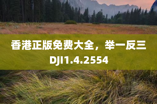 香港正版免费大全，举一反三DJI1.4.2554