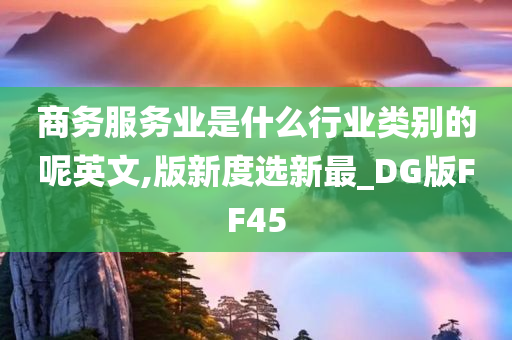 商务服务业是什么行业类别的呢英文,版新度选新最_DG版FF45