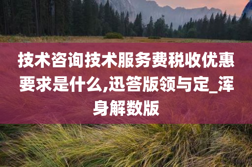 技术咨询技术服务费税收优惠要求是什么,迅答版领与定_浑身解数版