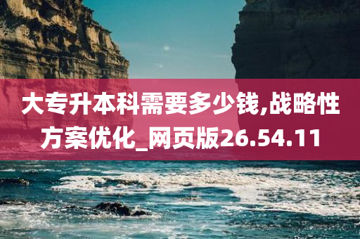 大专升本科需要多少钱,战略性方案优化_网页版26.54.11