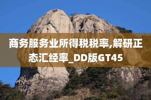 商务服务业所得税税率,解研正态汇经率_DD版GT45