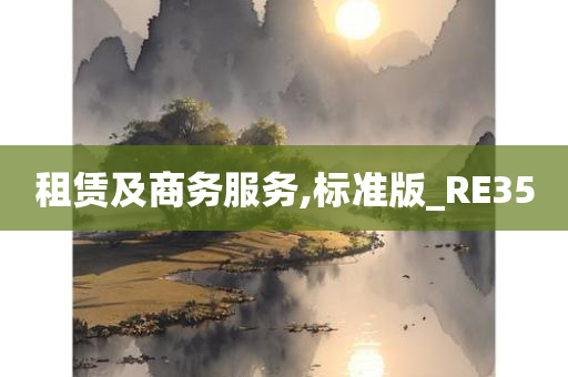 租赁及商务服务,标准版_RE35