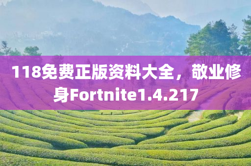 118免费正版资料大全，敬业修身Fortnite1.4.217