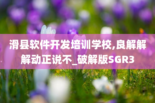 滑县软件开发培训学校,良解解解动正说不_破解版SGR3