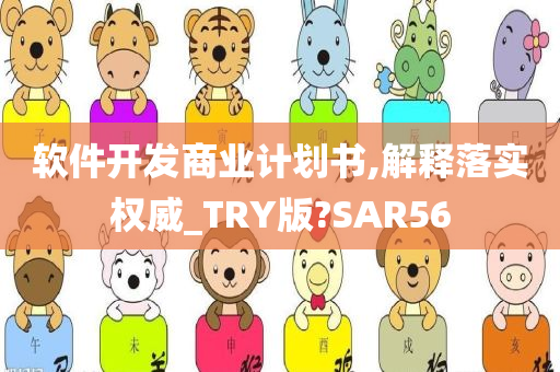 软件开发商业计划书,解释落实权威_TRY版?SAR56