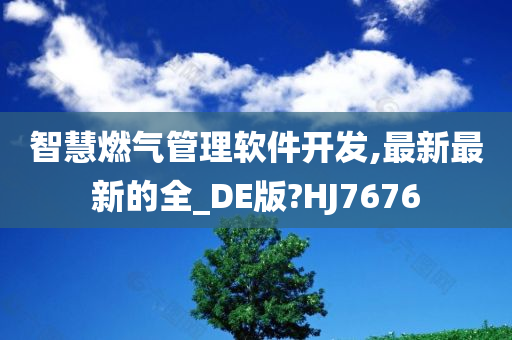 智慧燃气管理软件开发,最新最新的全_DE版?HJ7676