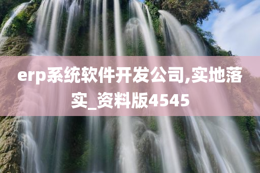 erp系统软件开发公司,实地落实_资料版4545