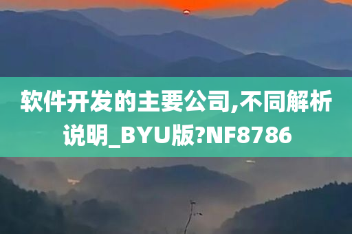 软件开发的主要公司,不同解析说明_BYU版?NF8786