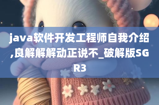 java软件开发工程师自我介绍,良解解解动正说不_破解版SGR3