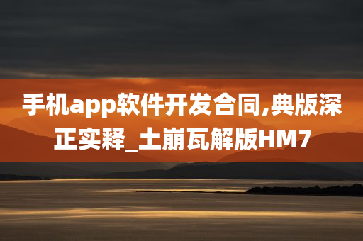 手机app软件开发合同,典版深正实释_土崩瓦解版HM7