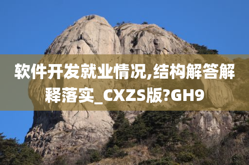 软件开发就业情况,结构解答解释落实_CXZS版?GH9