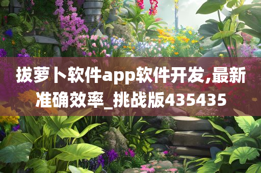 拔萝卜软件app软件开发,最新准确效率_挑战版435435