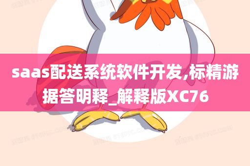 saas配送系统软件开发,标精游据答明释_解释版XC76