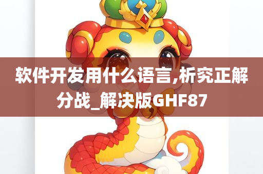 软件开发用什么语言,析究正解分战_解决版GHF87