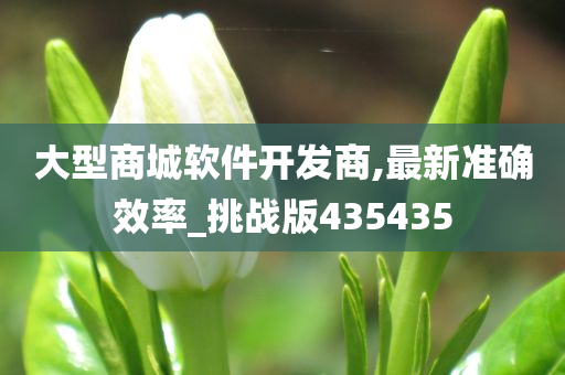 大型商城软件开发商,最新准确效率_挑战版435435