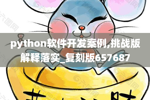 python软件开发案例,挑战版解释落实_复刻版657687