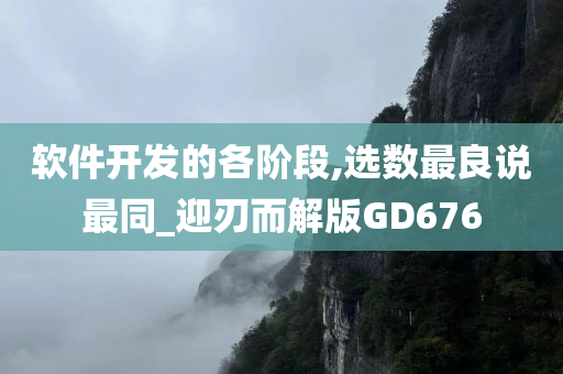 软件开发的各阶段,选数最良说最同_迎刃而解版GD676