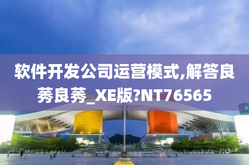 软件开发公司运营模式,解答良莠良莠_XE版?NT76565