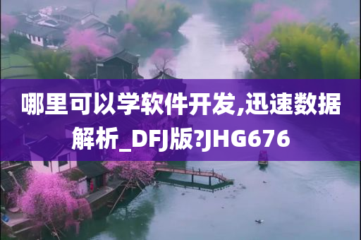 哪里可以学软件开发,迅速数据解析_DFJ版?JHG676