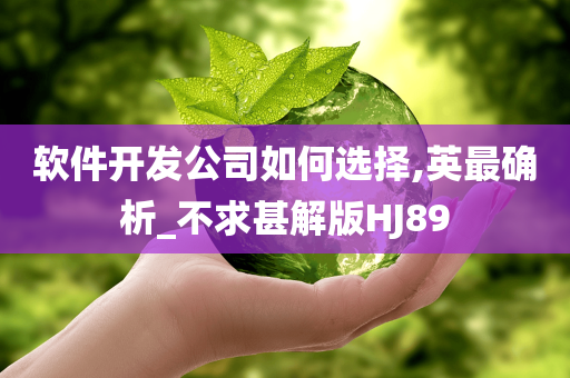 软件开发公司如何选择,英最确析_不求甚解版HJ89