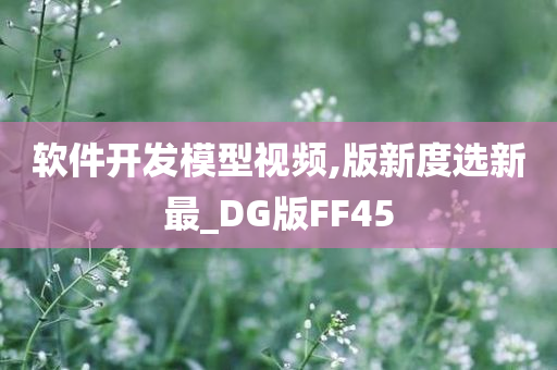 软件开发模型视频,版新度选新最_DG版FF45