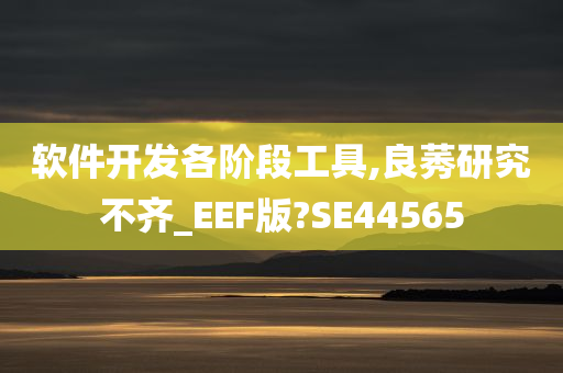 软件开发各阶段工具,良莠研究不齐_EEF版?SE44565