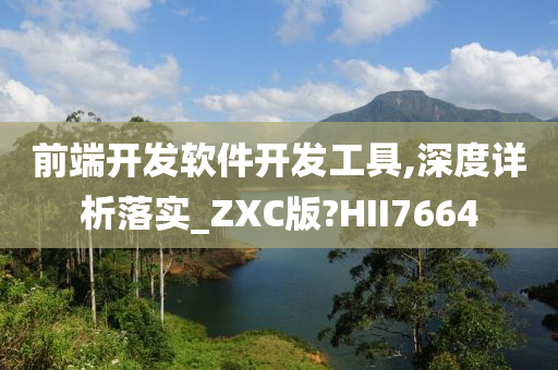 前端开发软件开发工具,深度详析落实_ZXC版?HII7664