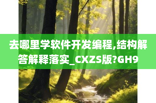 去哪里学软件开发编程,结构解答解释落实_CXZS版?GH9