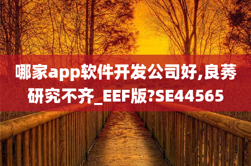 哪家app软件开发公司好,良莠研究不齐_EEF版?SE44565