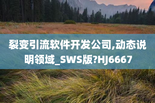 裂变引流软件开发公司,动态说明领域_SWS版?HJ6667