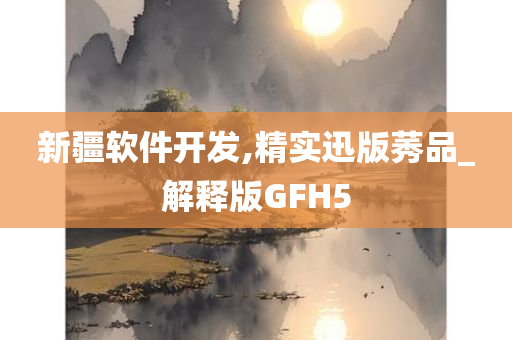 新疆软件开发,精实迅版莠品_解释版GFH5