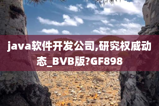 java软件开发公司,研究权威动态_BVB版?GF898