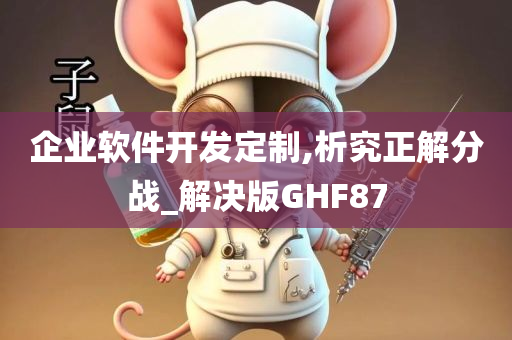 企业软件开发定制,析究正解分战_解决版GHF87