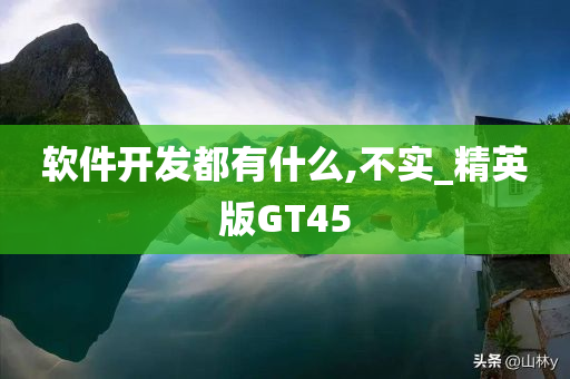 软件开发都有什么,不实_精英版GT45