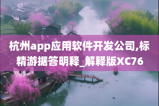 杭州app应用软件开发公司,标精游据答明释_解释版XC76