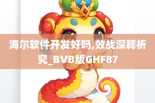 海尔软件开发好吗,效战深释析究_BVB版GHF87