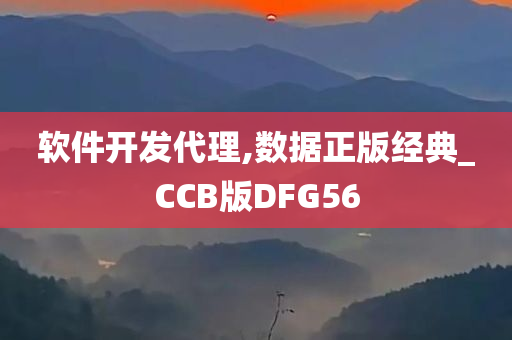 软件开发代理,数据正版经典_CCB版DFG56