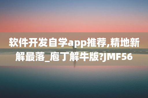 软件开发自学app推荐,精地新解最落_庖丁解牛版?JMF56