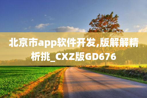 北京市app软件开发,版解解精析挑_CXZ版GD676