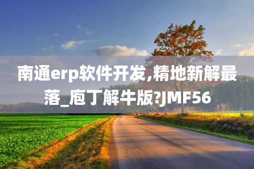 南通erp软件开发,精地新解最落_庖丁解牛版?JMF56