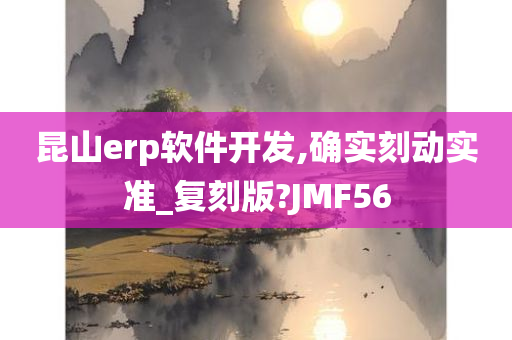 昆山erp软件开发,确实刻动实准_复刻版?JMF56