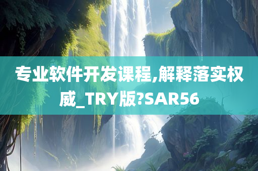 专业软件开发课程,解释落实权威_TRY版?SAR56