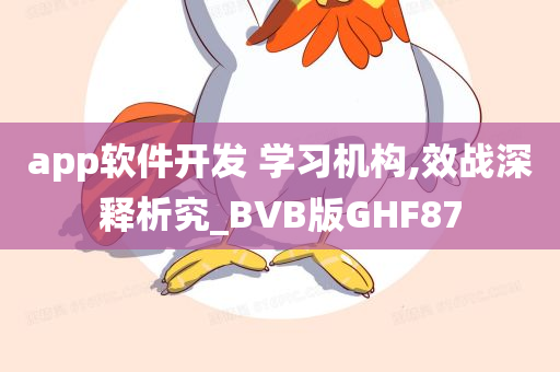 app软件开发 学习机构,效战深释析究_BVB版GHF87