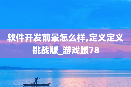 软件开发前景怎么样,定义定义挑战版_游戏版78