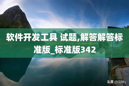 软件开发工具 试题,解答解答标准版_标准版342