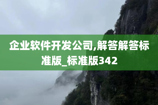 企业软件开发公司,解答解答标准版_标准版342